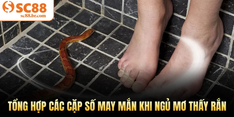 Tổng hợp các cặp số may mắn khi ngủ mơ thấy rắn