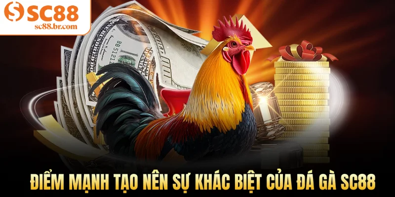 Các điểm mạnh tạo nên sự khác biệt của đá gà Sc88