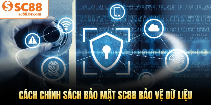 Cách chính sách bảo mật Sc88 bảo vệ dữ liệu