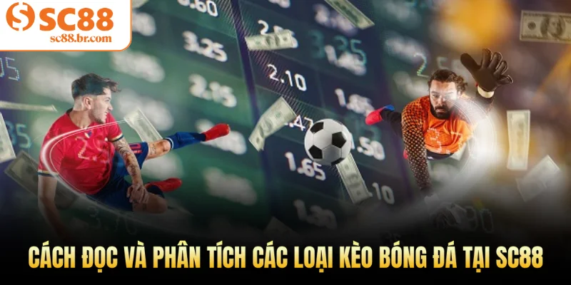 Cách đọc và phân tích các loại kèo bóng đá tại Sc88
