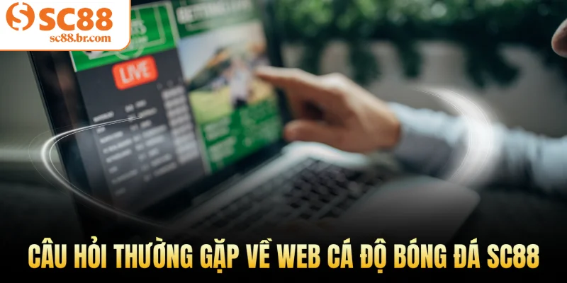 Câu hỏi thường gặp về web cá độ bóng đá Sc88
