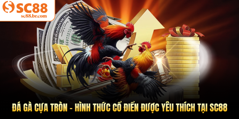 Đá gà cựa tròn