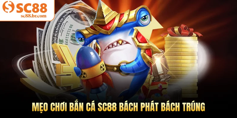 Mẹo chơi bắn cá Sc88 bách phát bách trúng