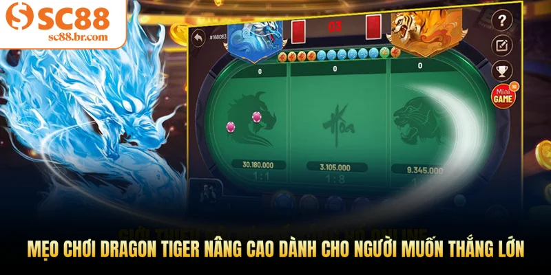 Mẹo chơi Dragon Tiger nâng cao dành cho người muốn thắng lớn