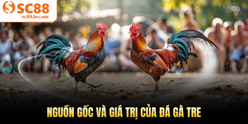 Nguồn gốc và giá trị của đá gà tre