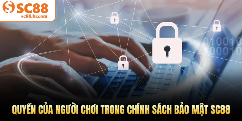 Quyền của người chơi trong chính sách bảo mật Sc88