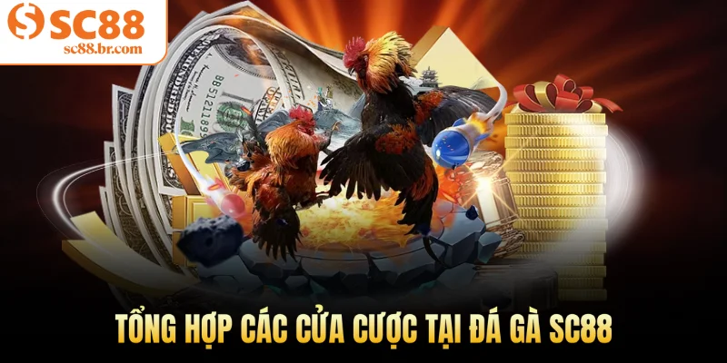 Tổng hợp các cửa cược tại đá gà Sc88