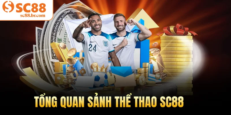 Tổng quan sảnh thể thao Sc88