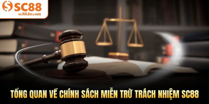 Tổng quan về chính sách miễn trừ trách nhiệm Sc88