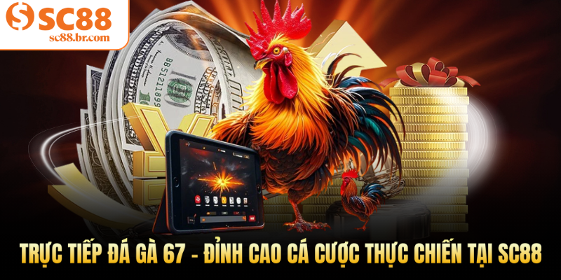 Trực tiếp đá gà 67